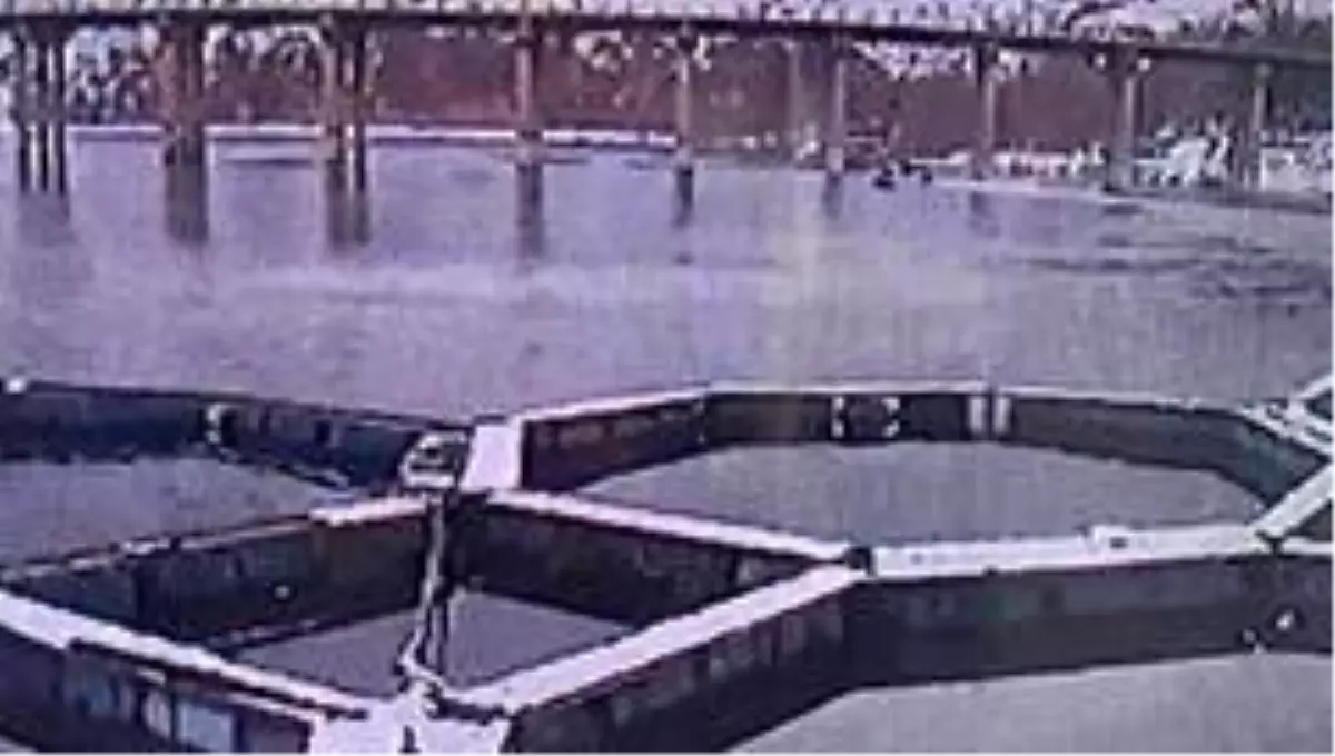 1 kişinin öldüğü tekne kazası kamerada