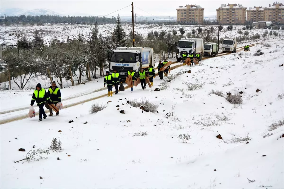 İslahiye Belediyesi yaban hayvanları için doğaya yem bıraktı