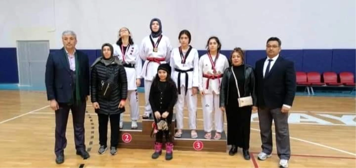 Okullar arası Gençler Taekwondo İl Birinciliği müsabakaları tamamlandı