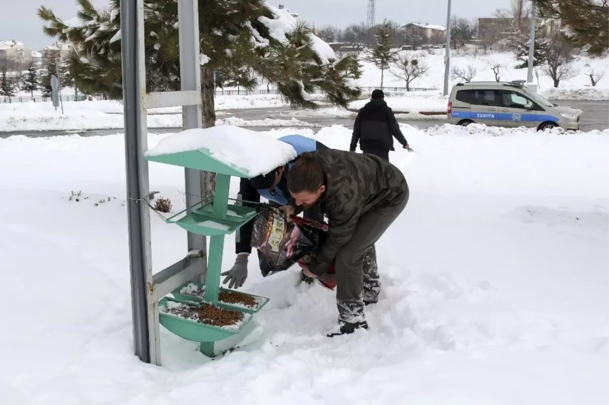 Sokak hayvanları unutulmadı