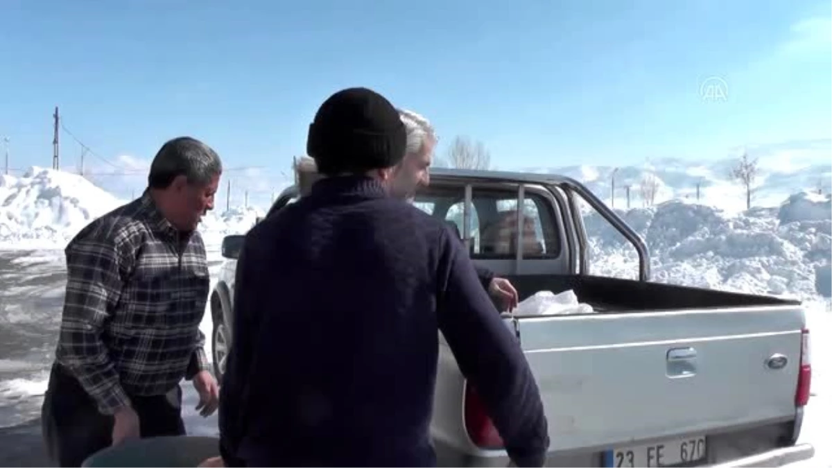 Çetin kışın yaşandığı Ovacık\'ta aç kalan sokak hayvanlarına şefkat eli