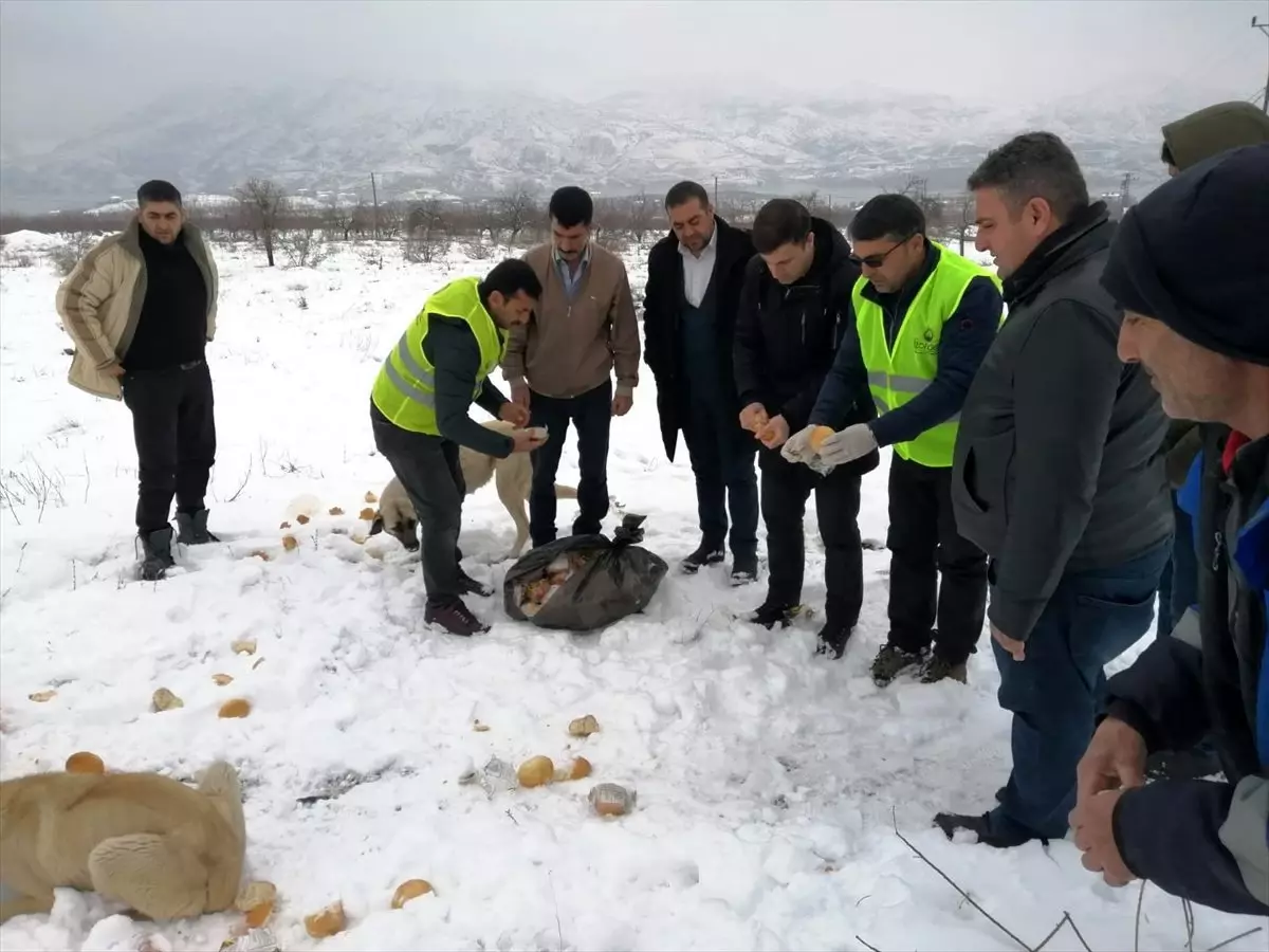 Kale\'de hayvanlar için doğaya yiyecek bırakıldı