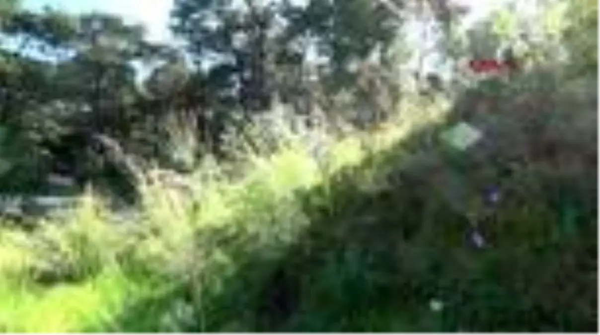 Antalya\'da şubat ortasında güneşli hava keyfi