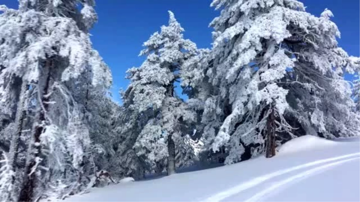 Kayak ve termali buluşturan Murat Dağı\'nın büyüleyici kış manzaraları