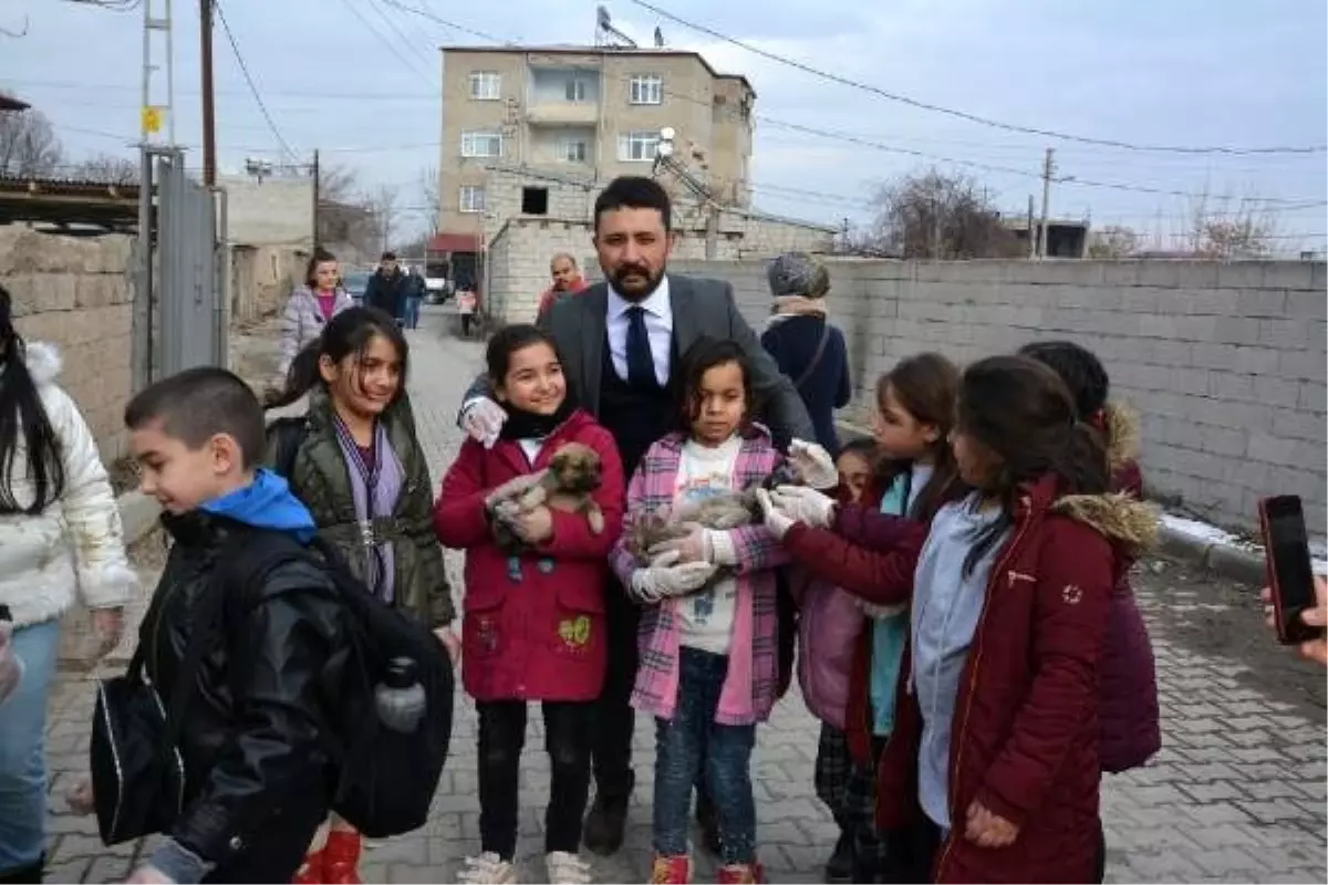 Öğrenciler, sokak hayvanlarını unutmadı