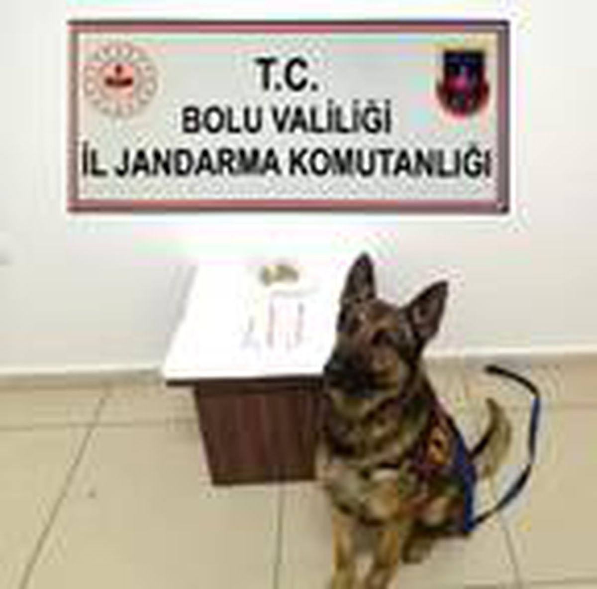 Otobüste uyuşturucu ile yakalanan yolcu gözaltına alındı