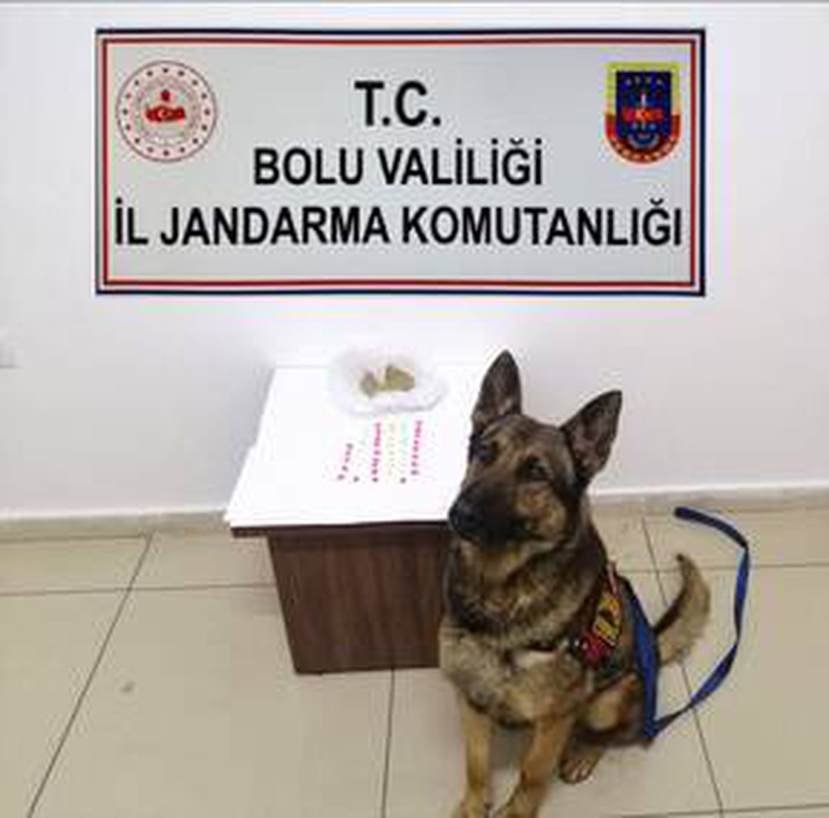 Yolcunun çantasından uyuşturucu madde çıktı