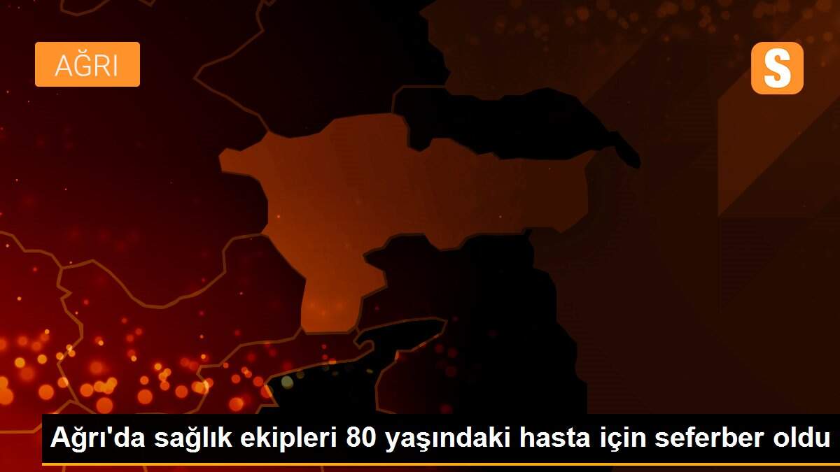 Ağrı\'da sağlık ekipleri 80 yaşındaki hasta için seferber oldu