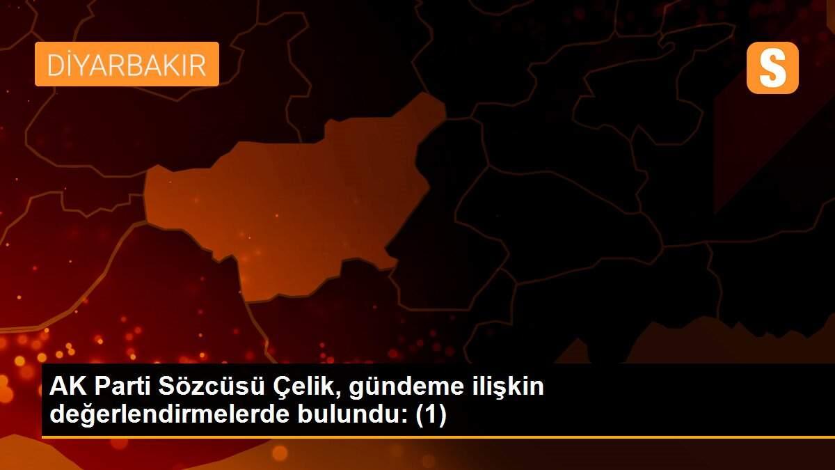 AK Parti Sözcüsü Çelik, gündeme ilişkin değerlendirmelerde bulundu: (1)