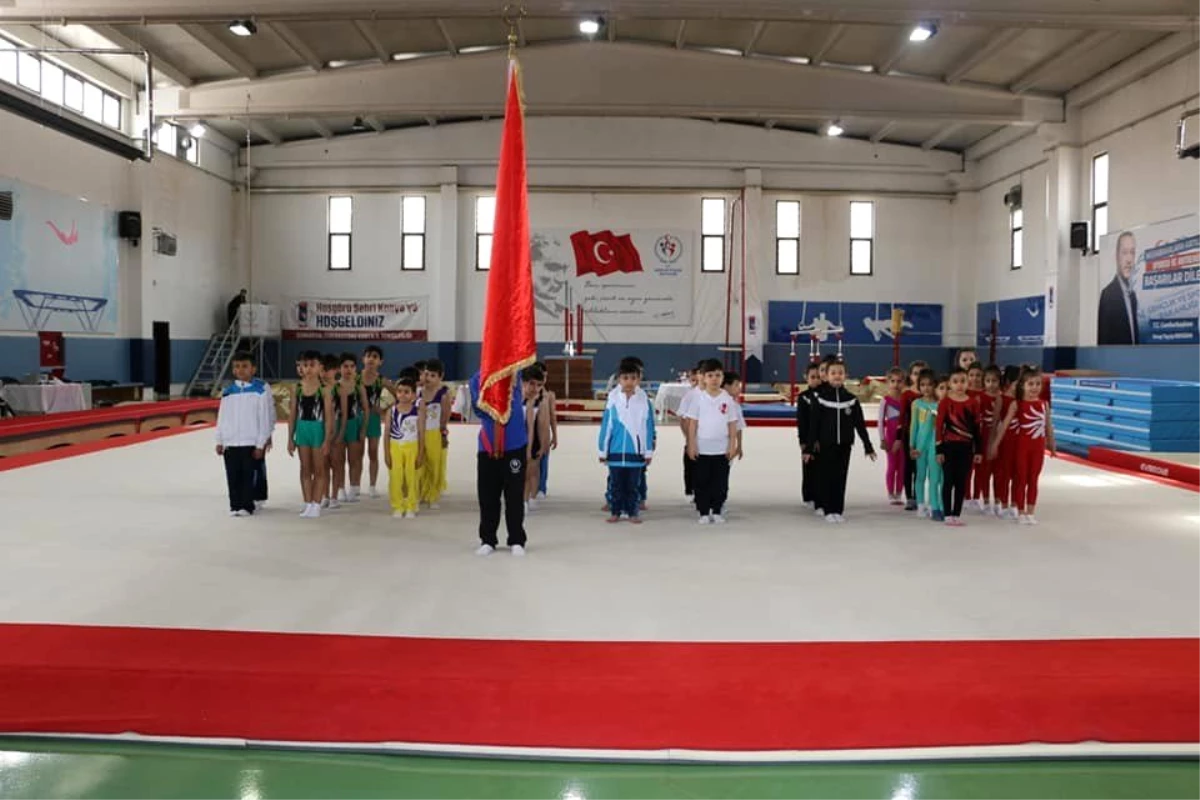 Analig Cimnastik\'te Kayseri kız ve erkek takımları yarı finale yükseldi
