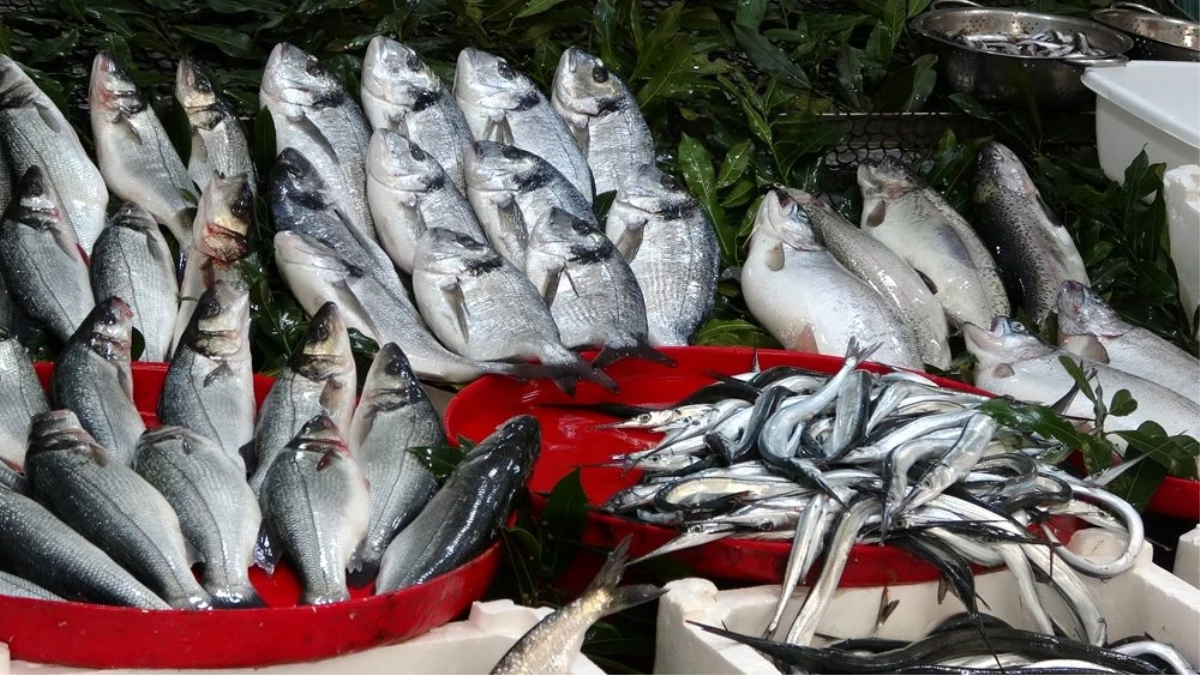 Balık cenneti Karadeniz\'de en fazla bu balıklar talep görüyor