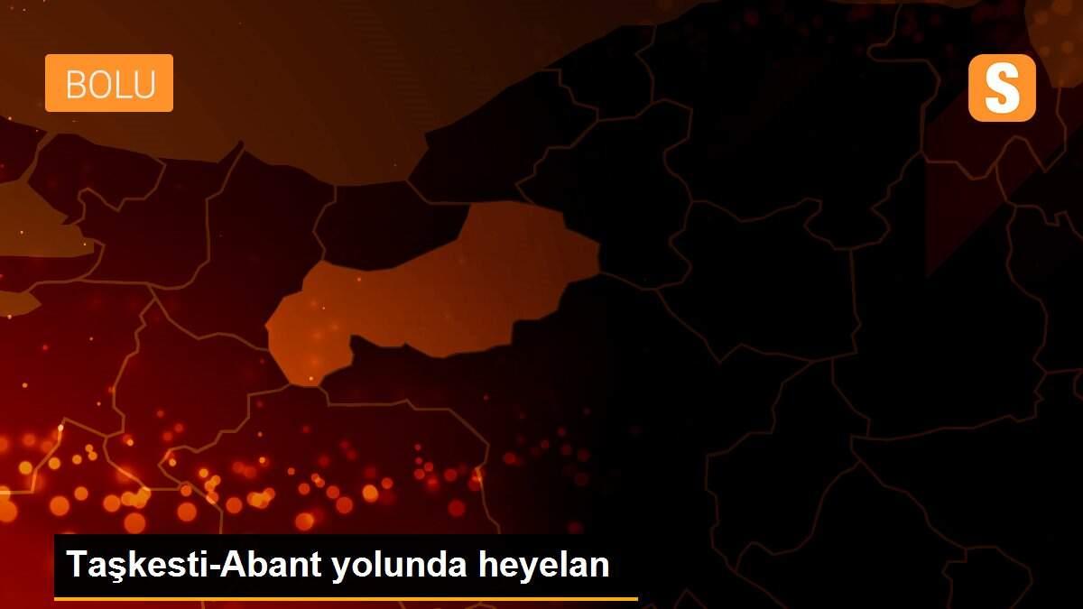 Taşkesti-Abant yolunda heyelan