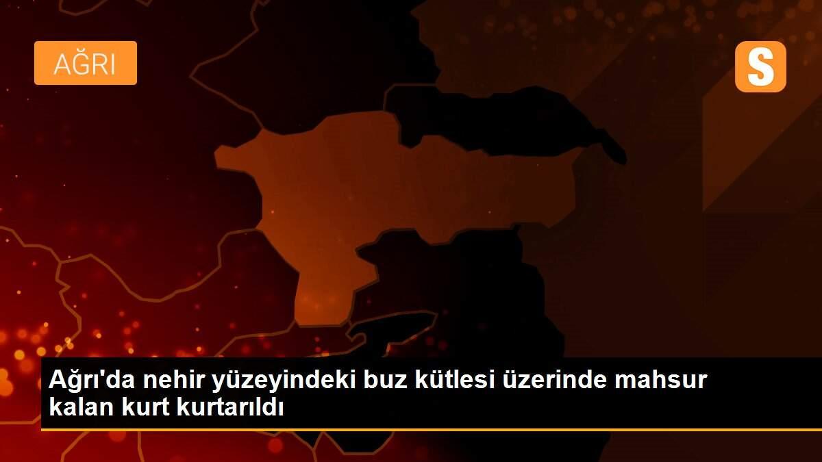 Ağrı\'da nehir yüzeyindeki buz kütlesi üzerinde mahsur kalan kurt kurtarıldı