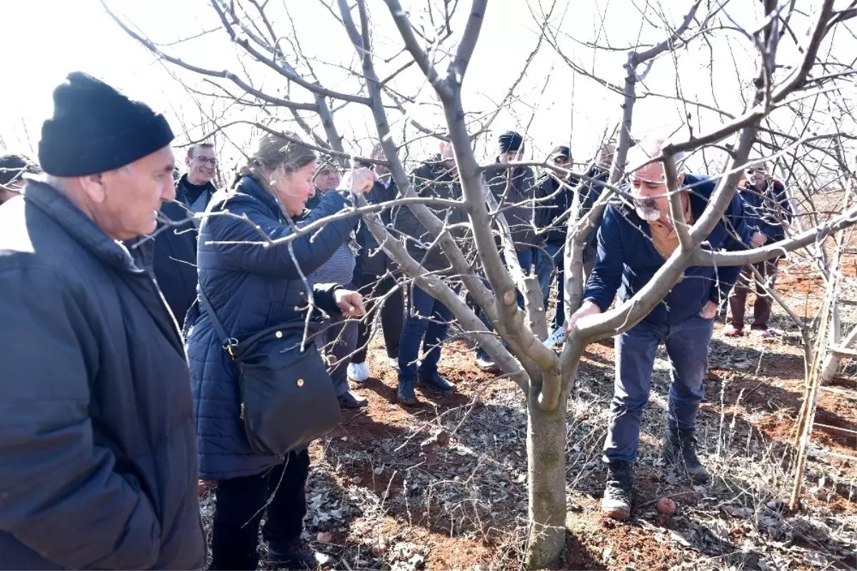 Budama eğitimini teoriden pratiğe döktüler