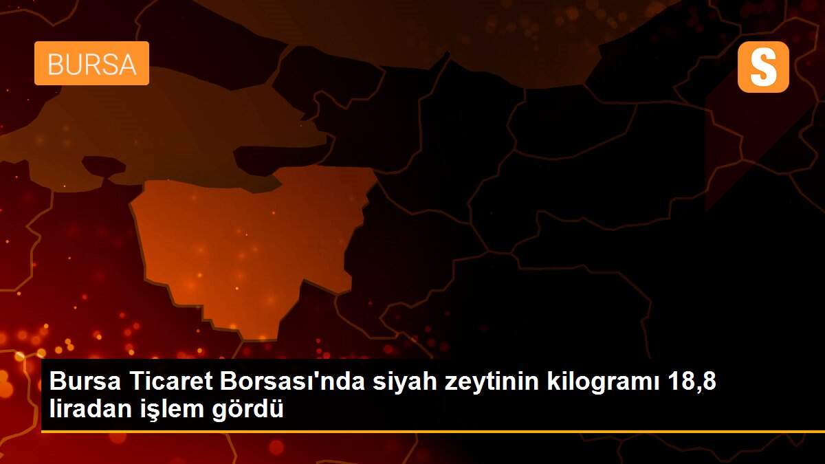 Bursa Ticaret Borsası\'nda siyah zeytinin kilogramı 18,8 liradan işlem gördü