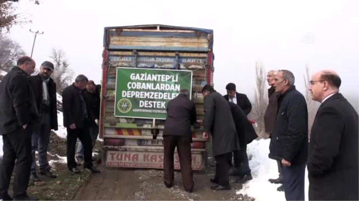 Depremzede çobanlara 53 küçükbaş hayvan bağışı yapıldı