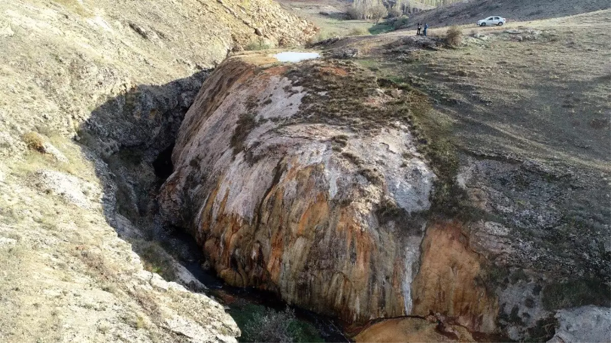 Dünyada nadir görülüyordu, koruma atına alındı