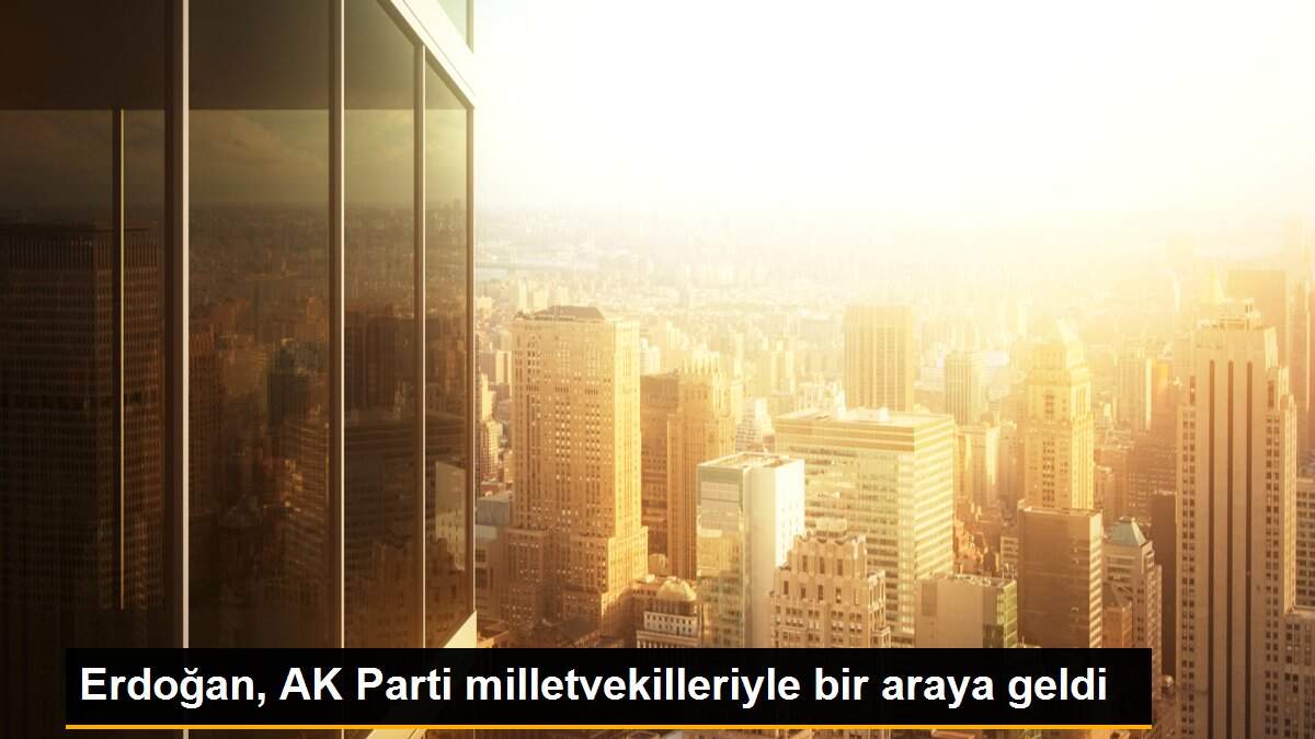 Erdoğan, AK Parti milletvekilleriyle bir araya geldi