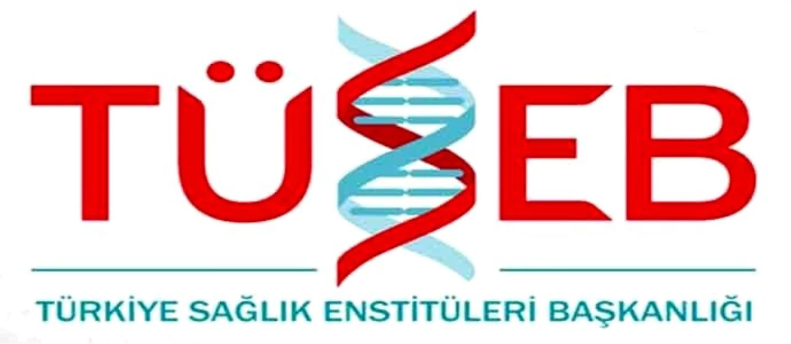TÜSEB\'in Yapay Zeka Araştırma Proje destekleri açıklandı