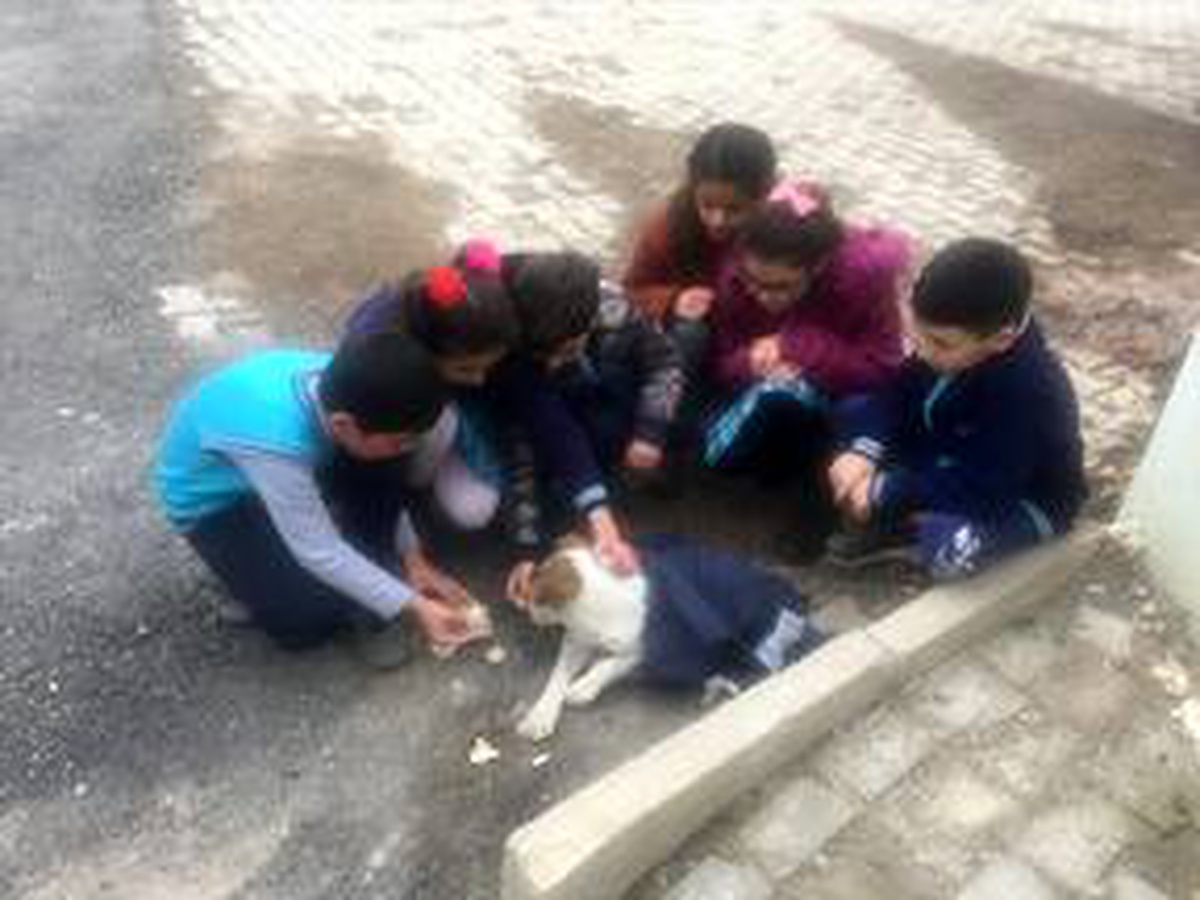 Öğrenciler montlarıyla üşüyen köpeği ısıtmaya çalıştı