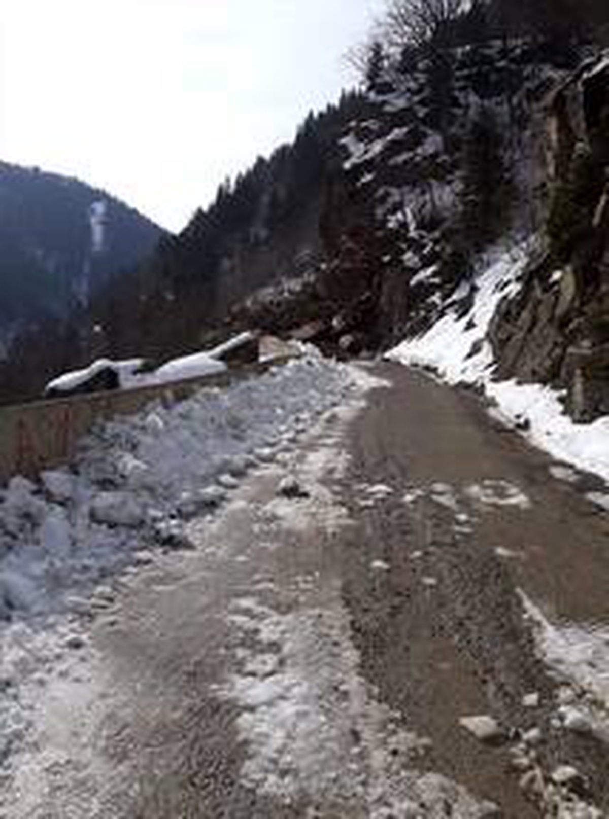 Gümüşhane\'de heyelan yayla yolunu kapattı