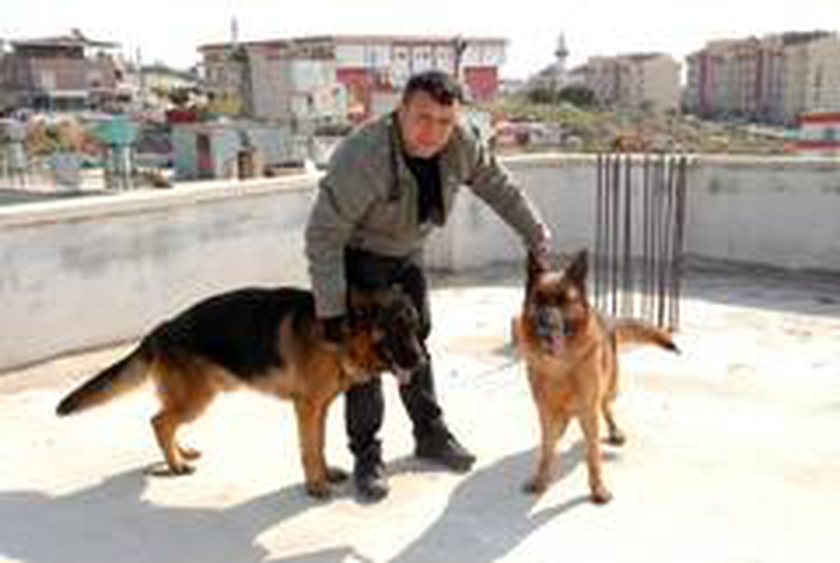 \'Hera\' ve \'Clan\' şampiyonluğa hazırlanıyor
