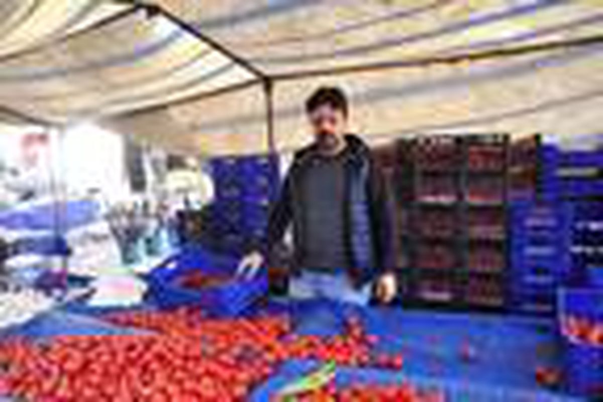 Pazarcıların domates ve salatalıkları kasalarıyla çalındı