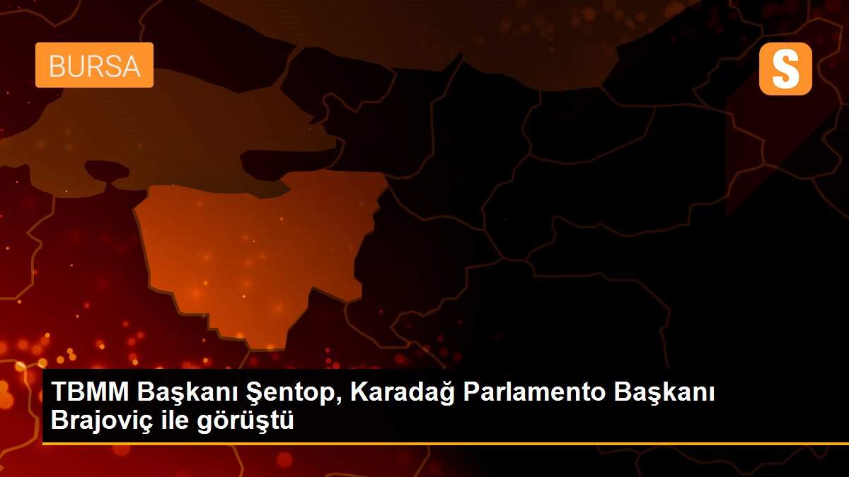TBMM Başkanı Şentop, Karadağ Parlamento Başkanı Brajoviç ile görüştü