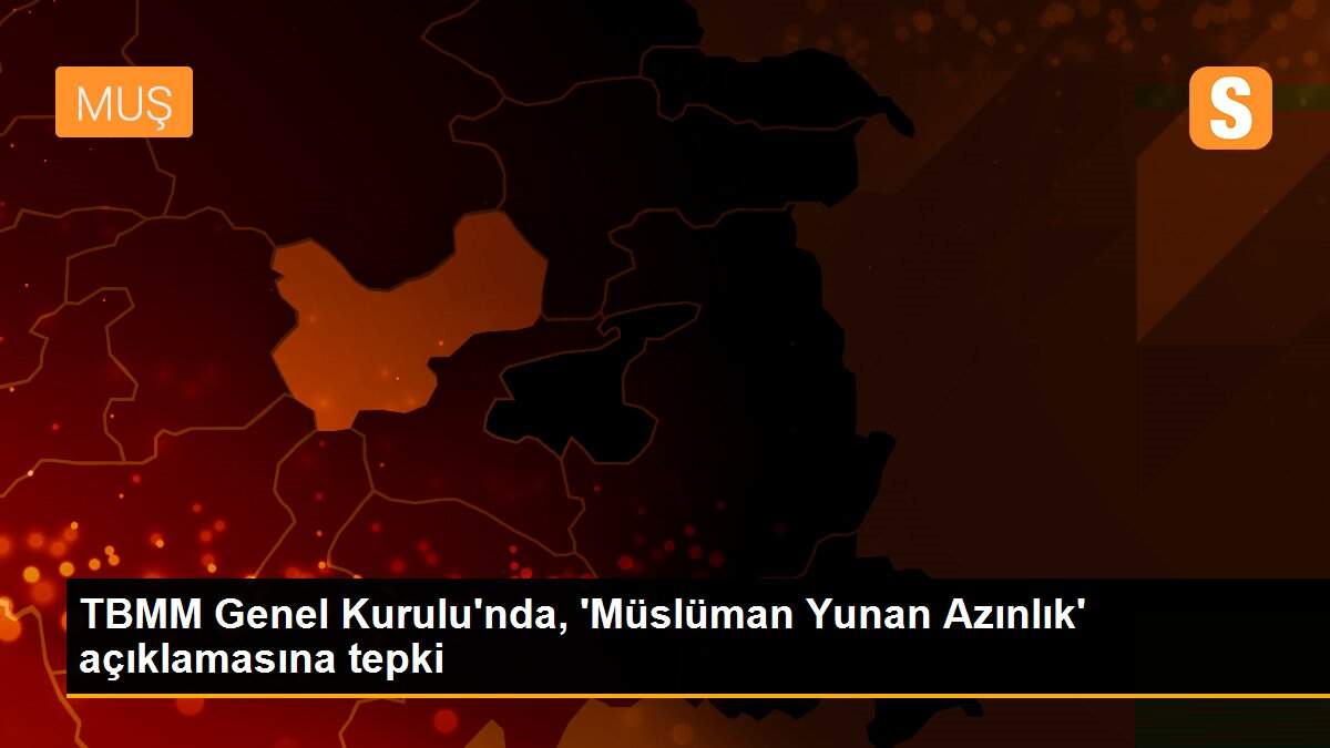 TBMM Genel Kurulu\'nda, \'Müslüman Yunan Azınlık\' açıklamasına tepki