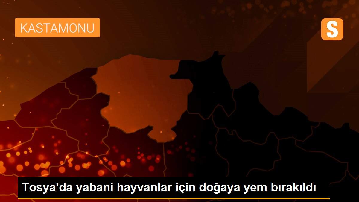 Tosya\'da yabani hayvanlar için doğaya yem bırakıldı