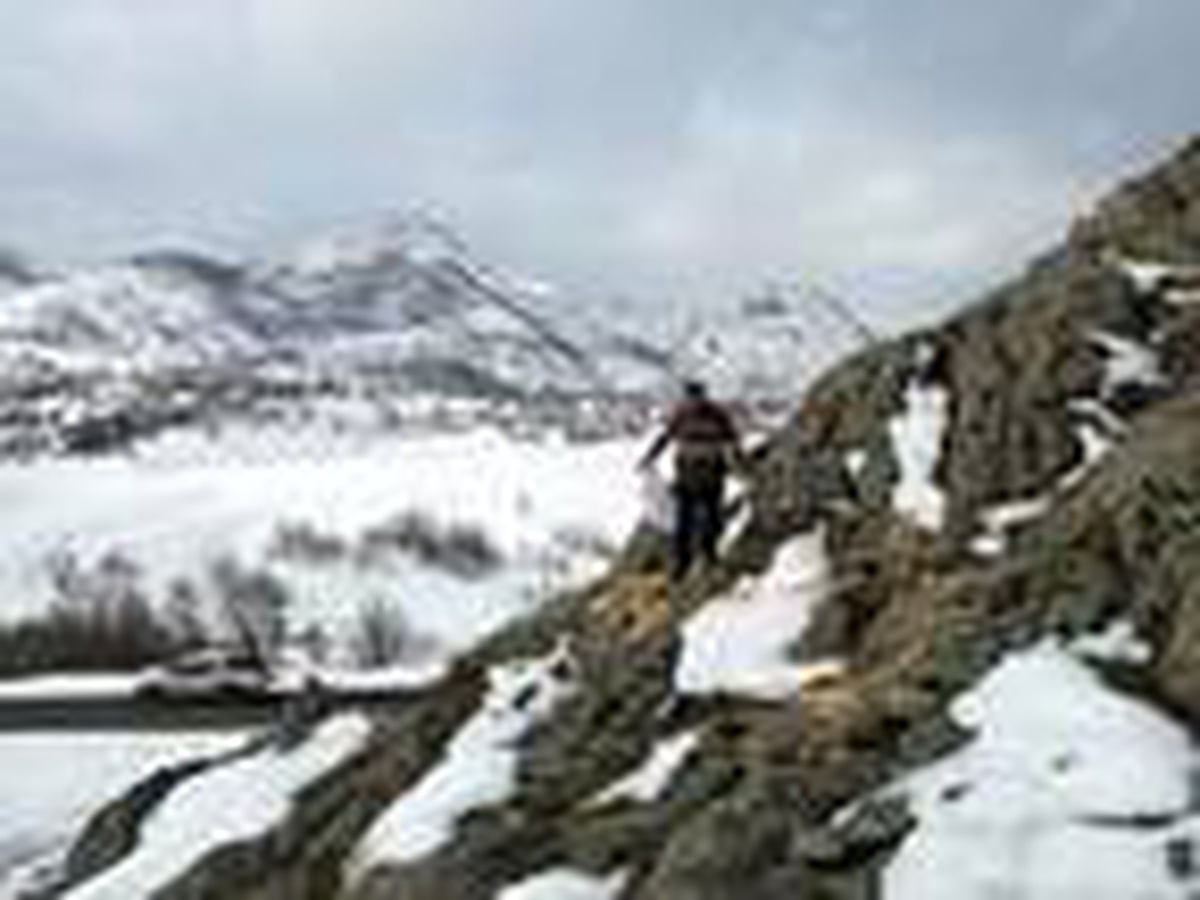 Tunceli\'de yaban hayvanları için doğaya yem bırakıldı