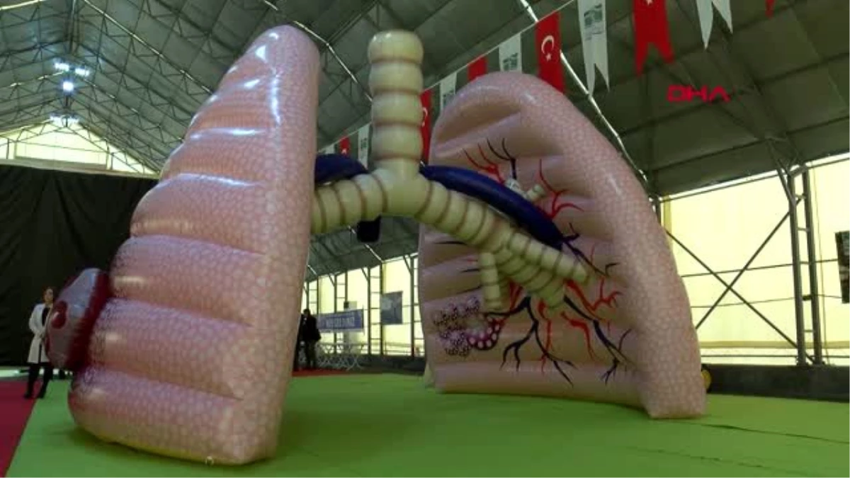 İstanbul çocuklar 3d maketlerle iç organları tanıyor