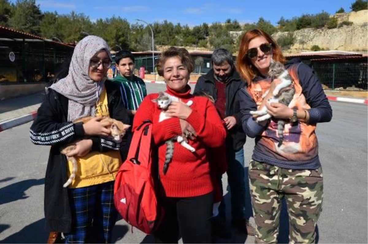 Barınakta sorun tespit edip, hayvan sahiplendiler