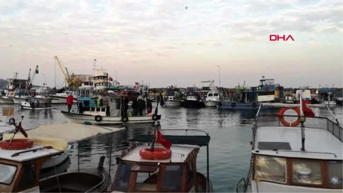 İzmir dikili\'de avlanan deniz patlıcanları uzakdoğu\'ya ihraç ediliyor
