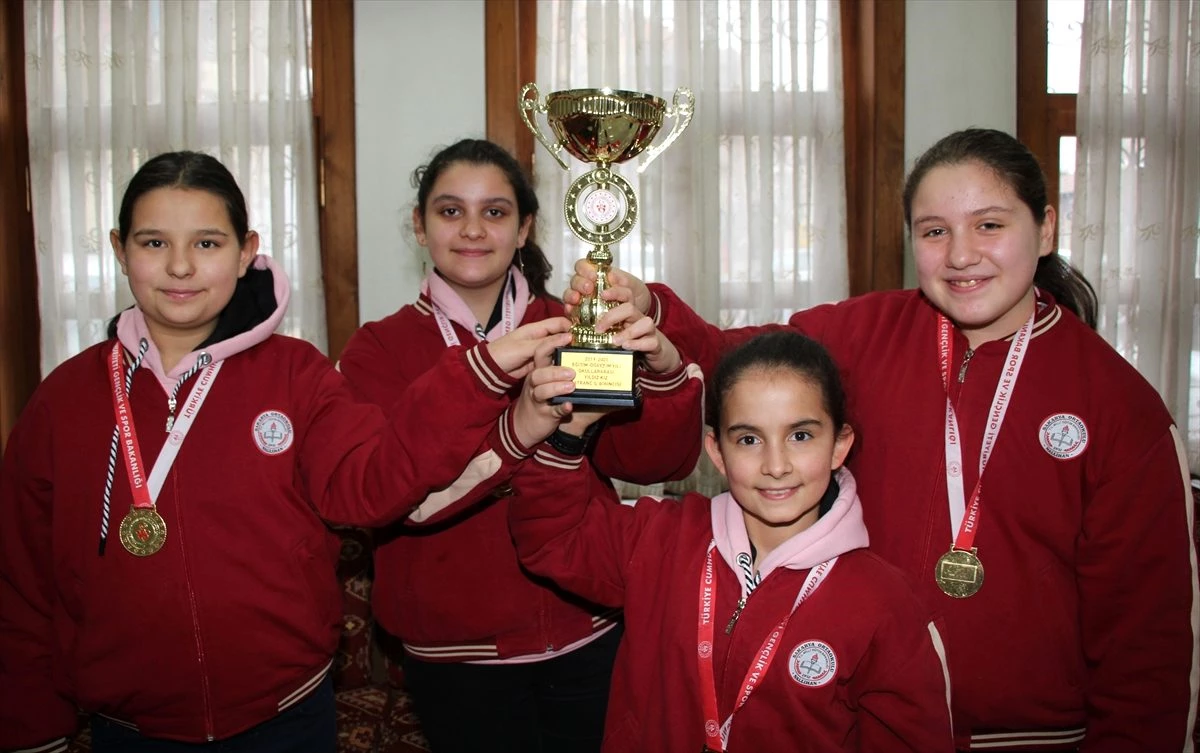 Nallıhan Sakarya Ortaokulu satranç turnuvasında Ankara\'yı temsil edecek