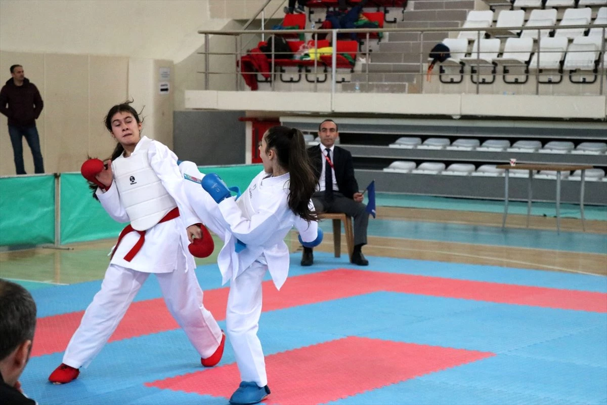 Erzincan\'da ANALİG Karate Grup Müsabakaları sona erdi