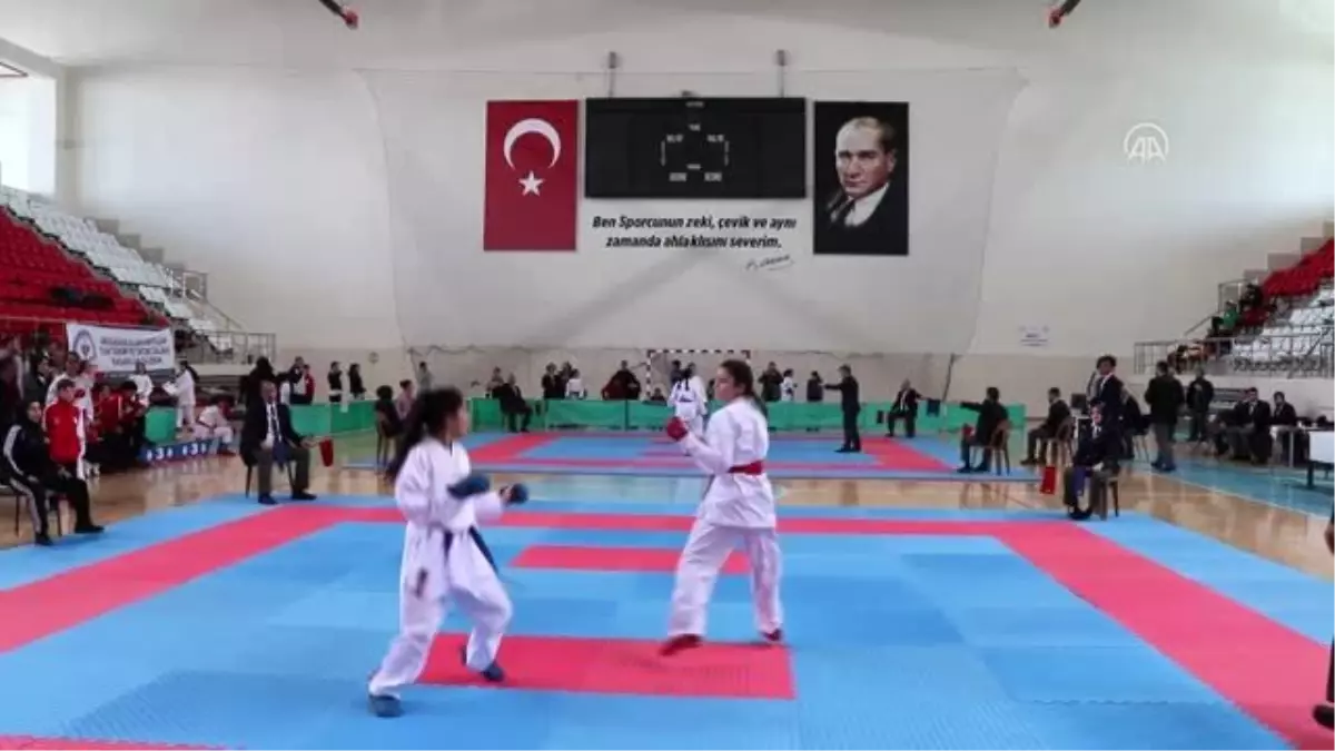 Erzincan\'da ANALİG Karate Grup Müsabakaları sona erdi