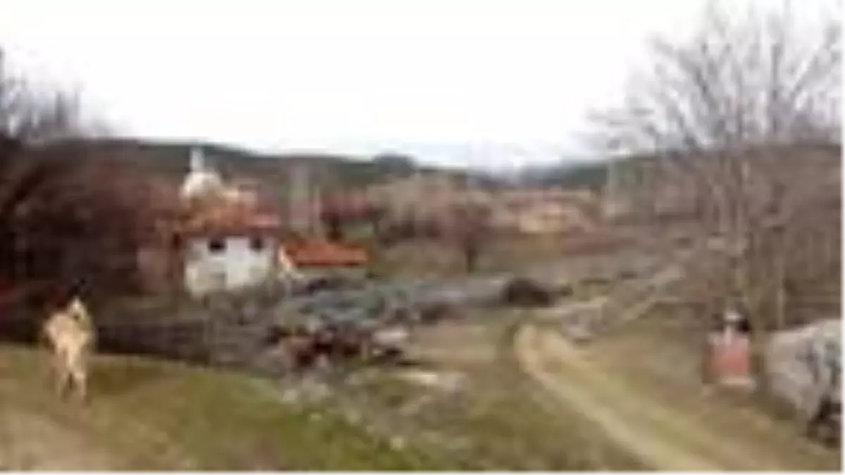 Bahadır Barajı\'ndaki su, tehlike seviyesinin altına indi