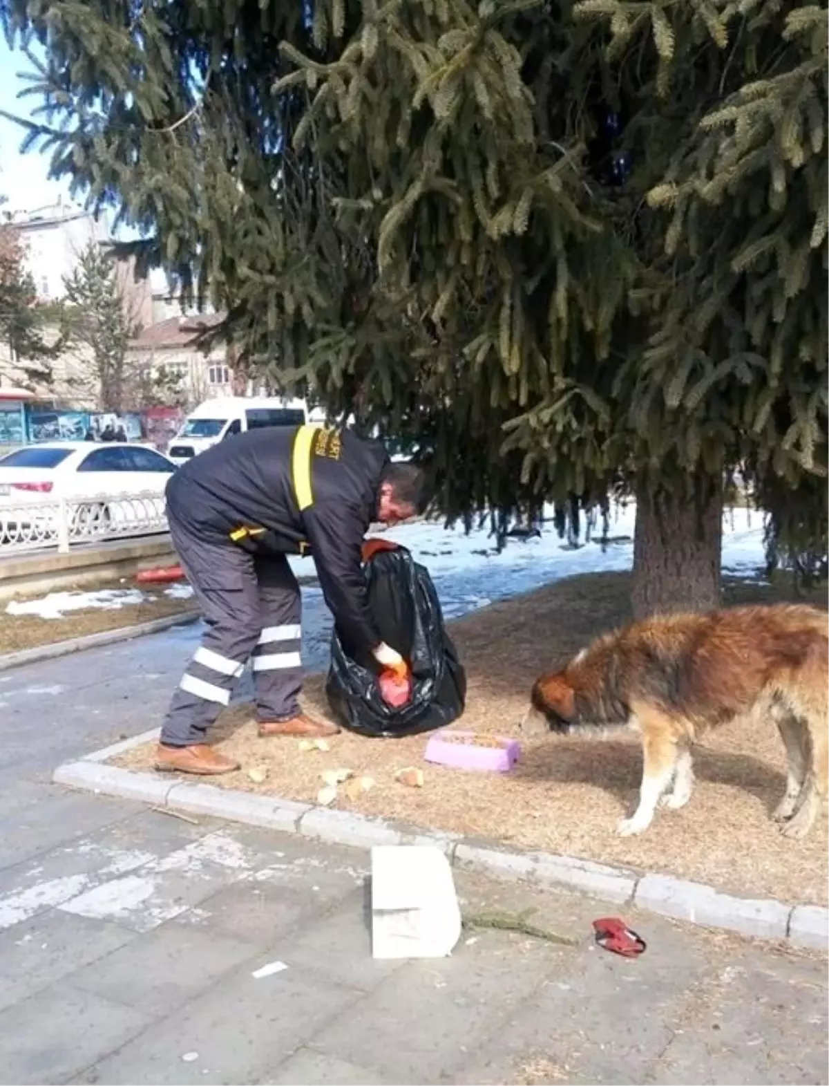 Bayburt \'ta sokak hayvanları unutulmuyor