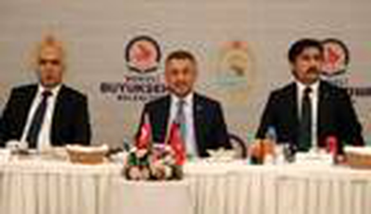Cumhurbaşkanı Yardımcısı Oktay, Denizli\'de (2)