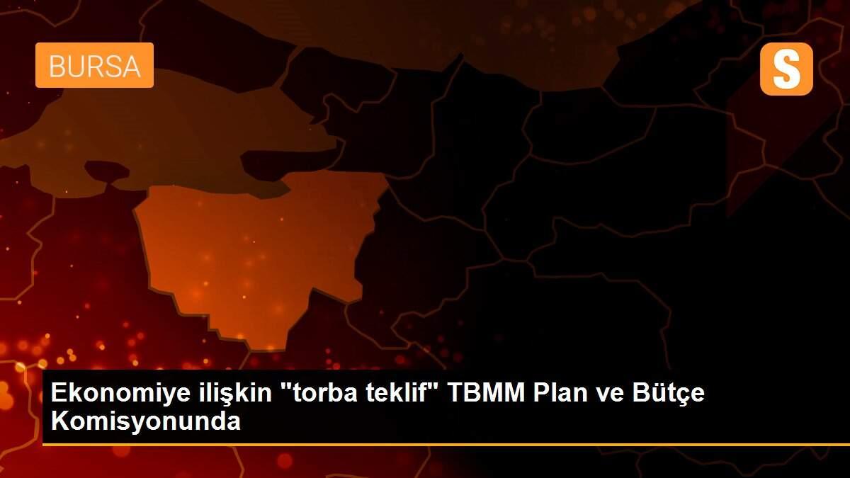 Ekonomiye ilişkin "torba teklif" TBMM Plan ve Bütçe Komisyonunda