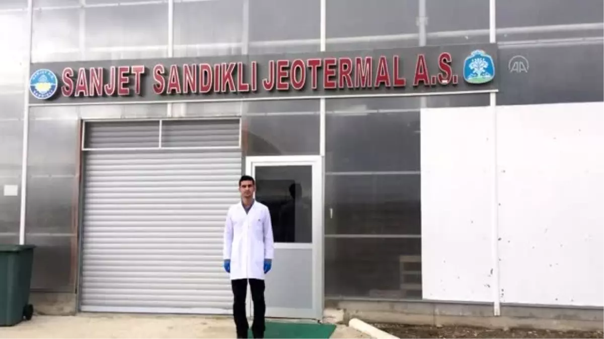 Jeotermal serada meyve fidanları çiçek açtı - AFYONKARAHİSAR