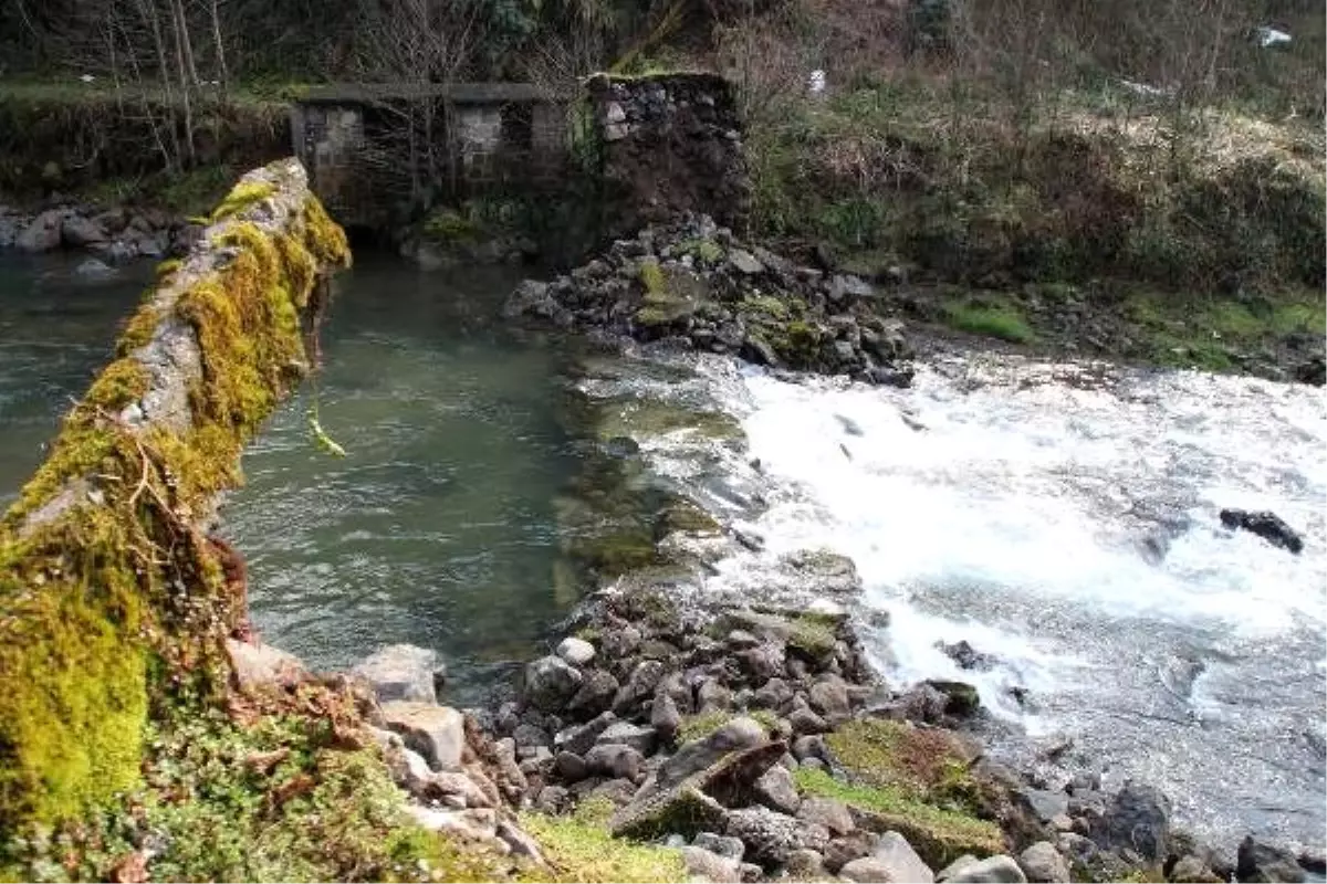 Rize\'de tarihi kemer köprü çöktü