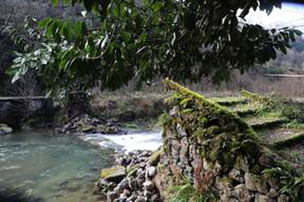 Rize\'de tarihi kemer köprü yıkıldı