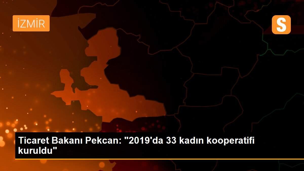 Ticaret Bakanı Pekcan: "2019\'da 33 kadın kooperatifi kuruldu"