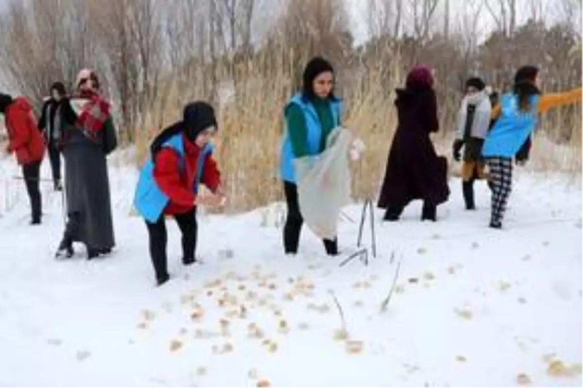 Van\'da gönüllü gençler, sokak hayvanları ve kuşlar için doğaya yiyecek bıraktı