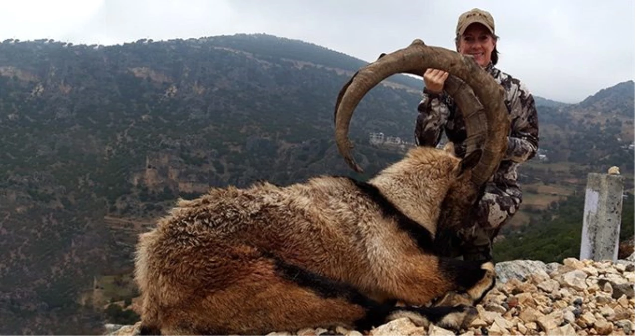 Amerikalı kadın avcı, Adıyaman\'da boynuz uzunluğu 130 santimetreyi bulan dağ keçisini avladı