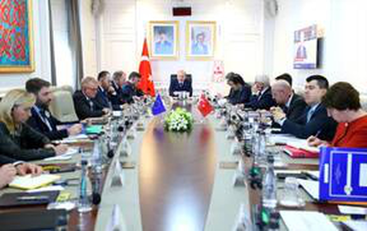 Bakan Soylu, Avrupa Parlamentosu Dış İlişkiler Komisyonu heyetini kabul etti