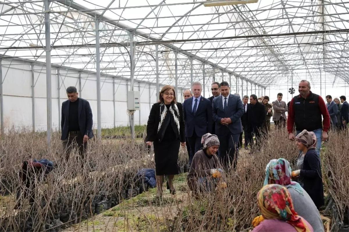 Büyükşehir, Gaziantep\'in yöresel tatlarını koruyacak