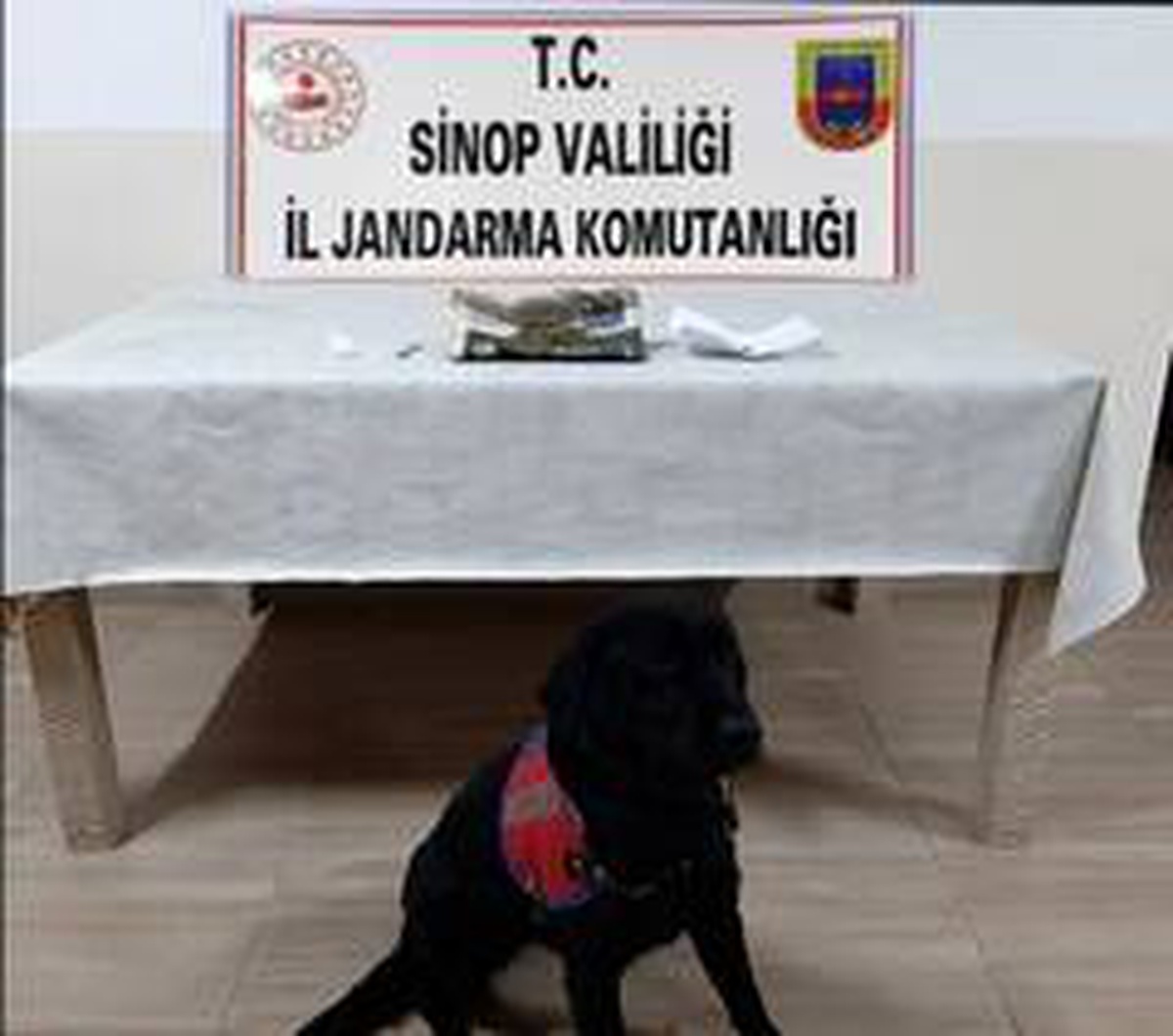 Narkotik köpeği Perma uyuşturucuyu yakaladı